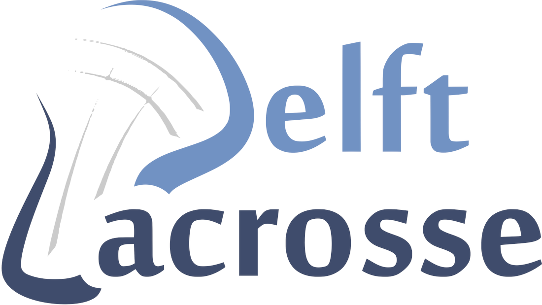 Logo Delftse Studenten Lacrosse Vereniging